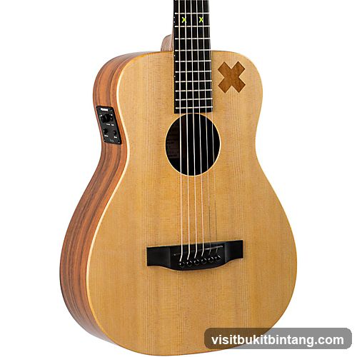 Acoustic Guitar
