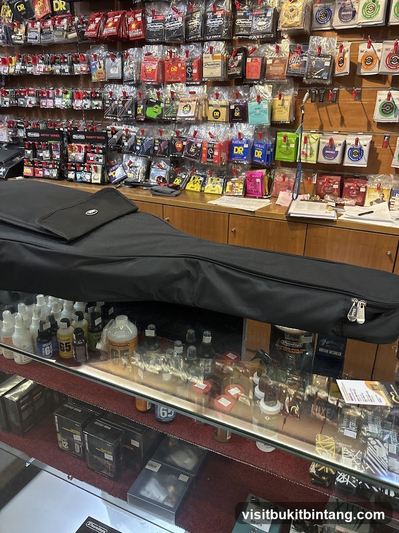 Guitar Accessories Store