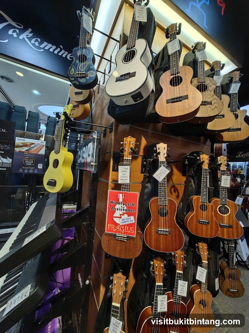 Musical Instruments Display