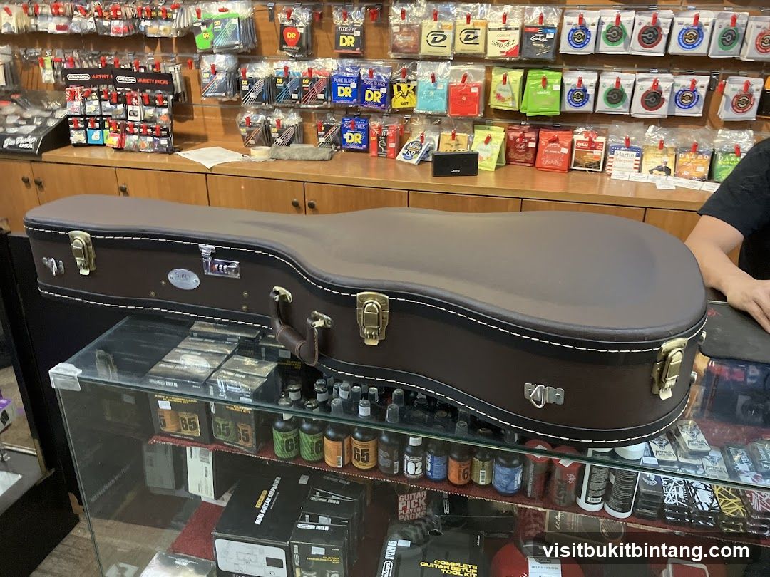 Guitar Case and Accessories