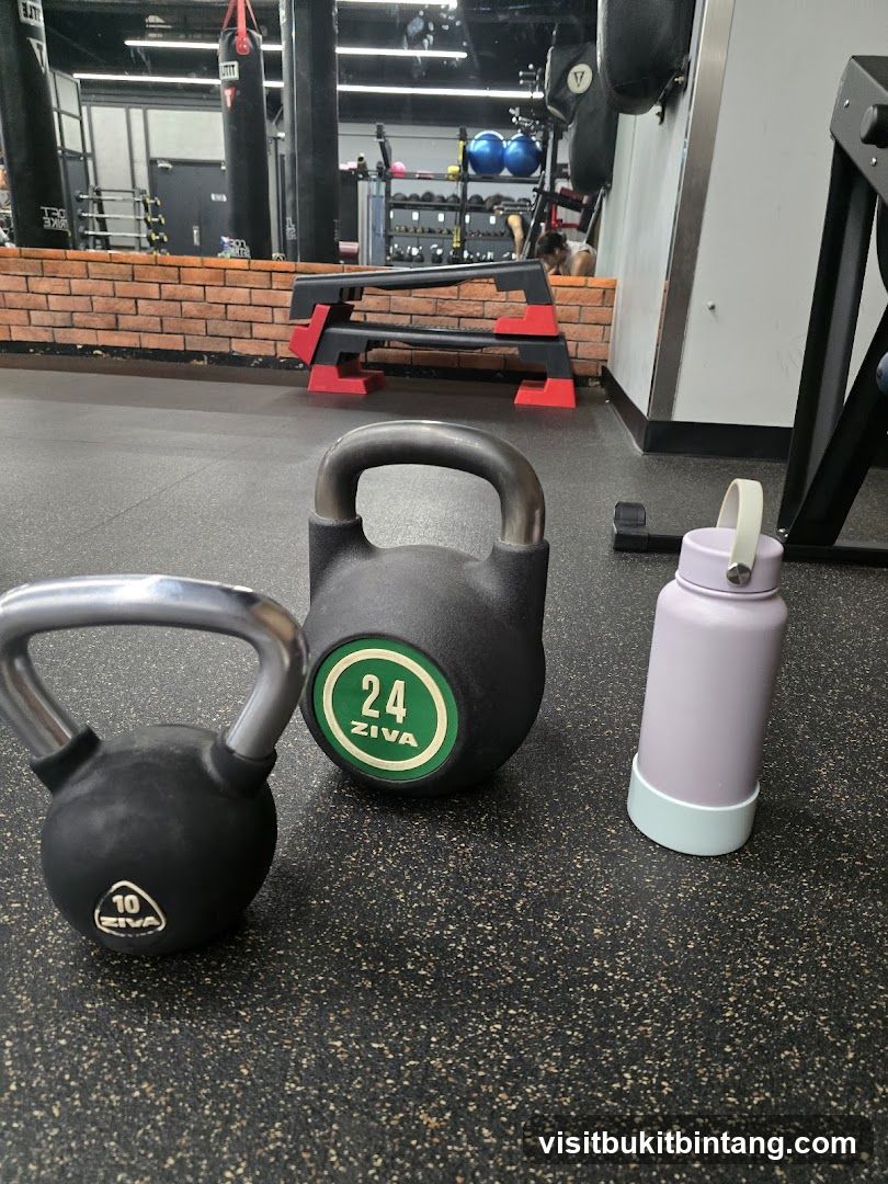 Gym Equipment