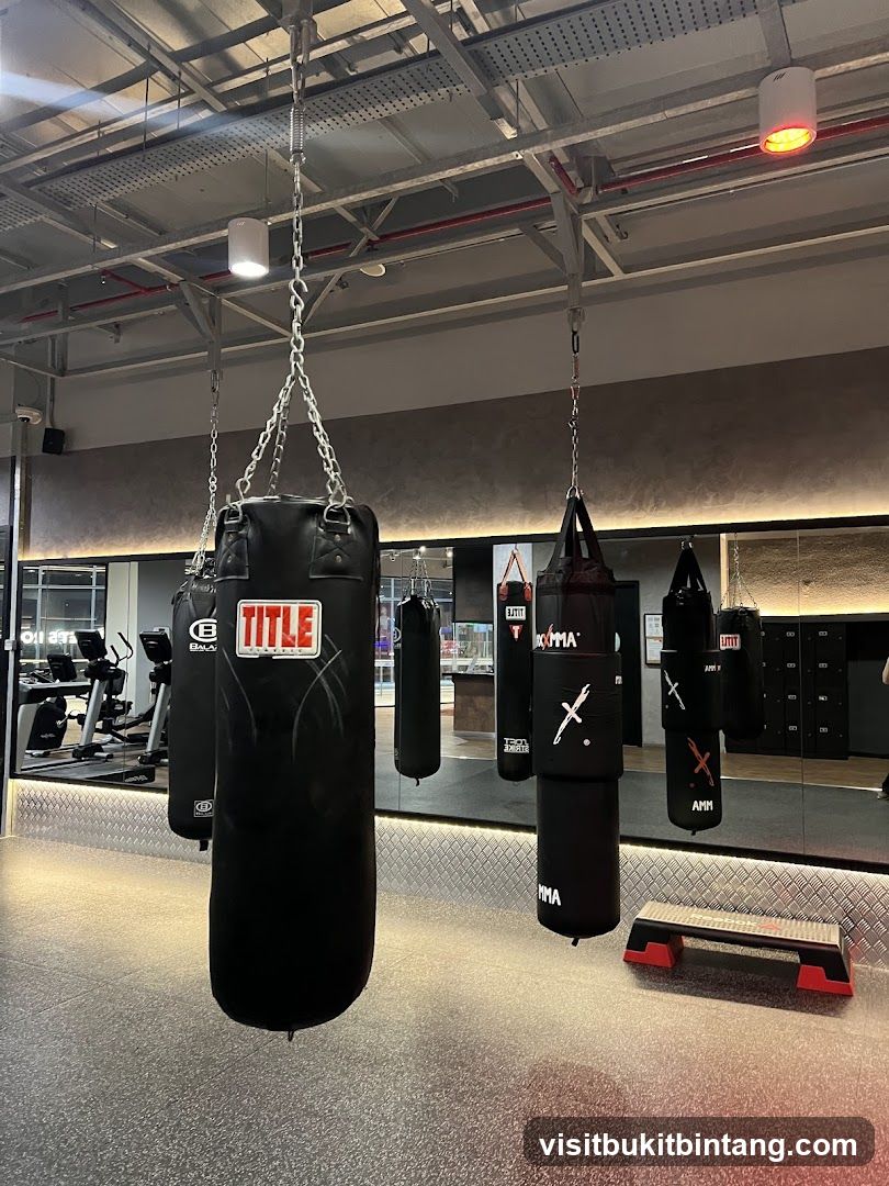 Boxing Gym Interior