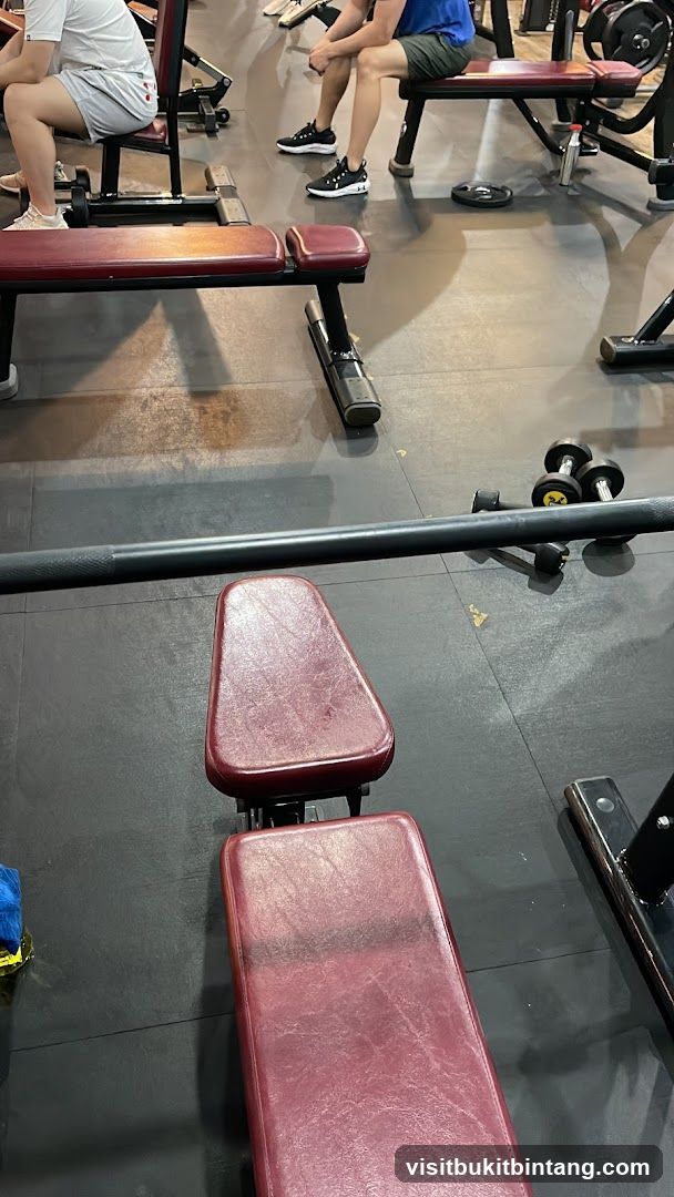 Gym Interior with Benches and Weights