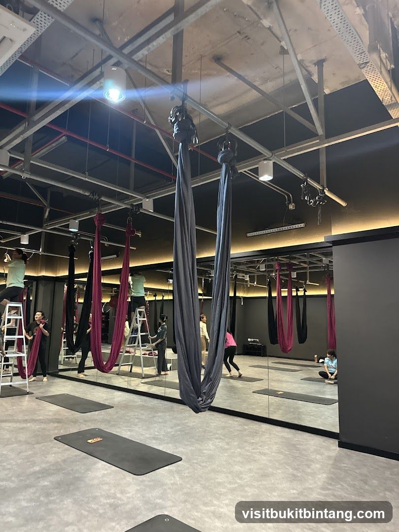Aerial Yoga Studio