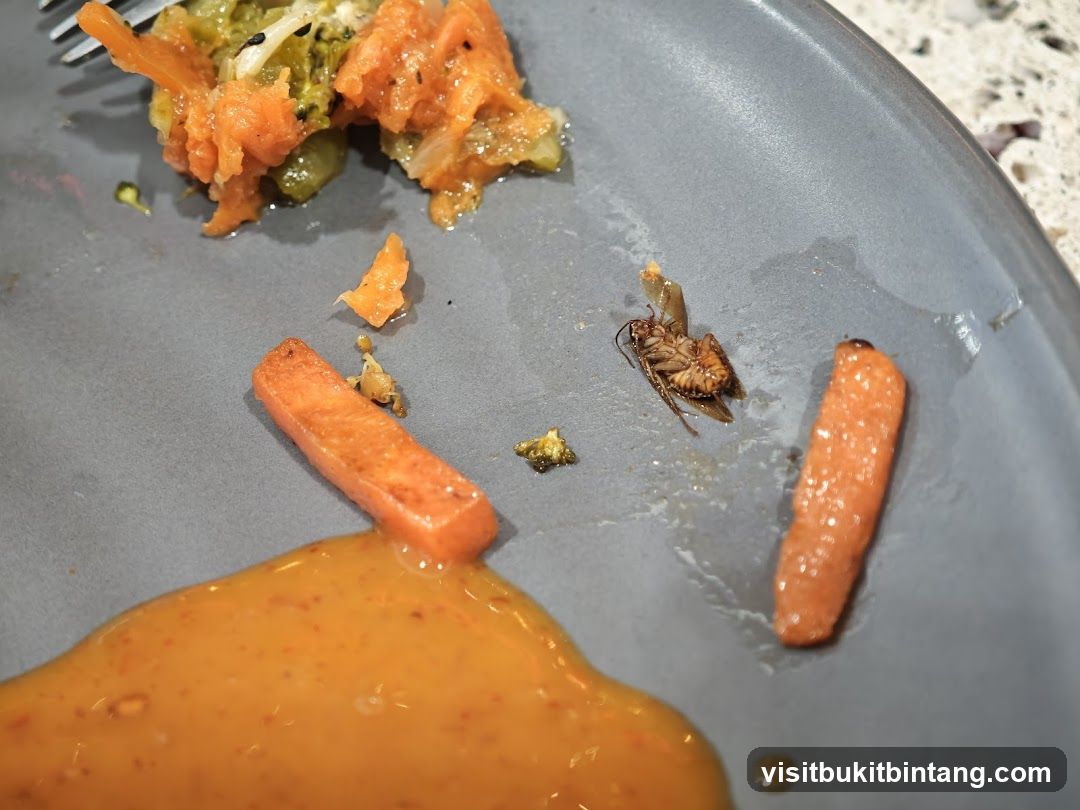 Cockroach on Plate with Food