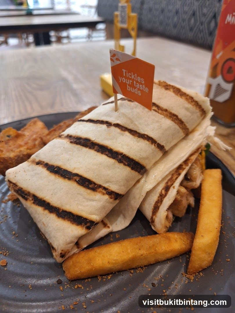 Grilled wrap with fries