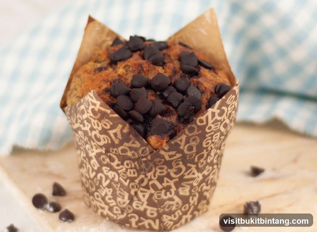 Chocolate Chip Muffin