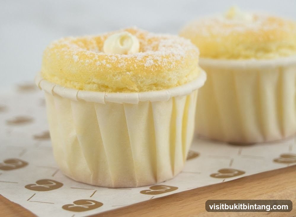 Two fluffy cupcakes dusted with powdered sugar
