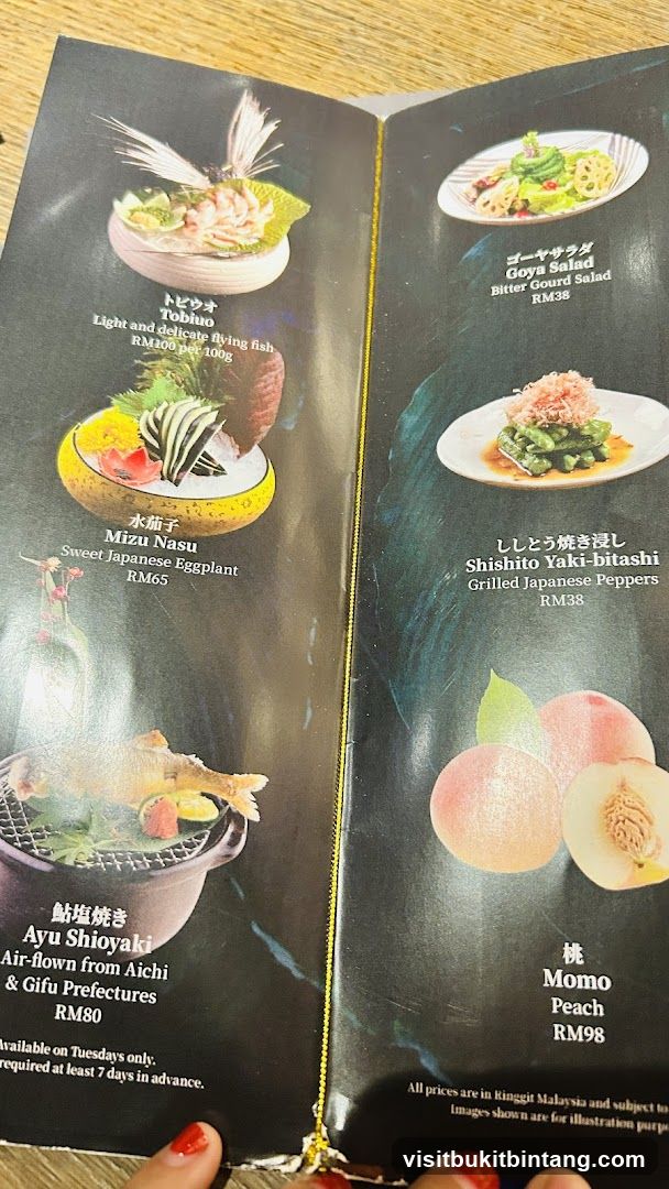 Japanese Menu