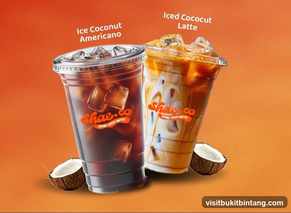 Two Iced Coconut Drinks