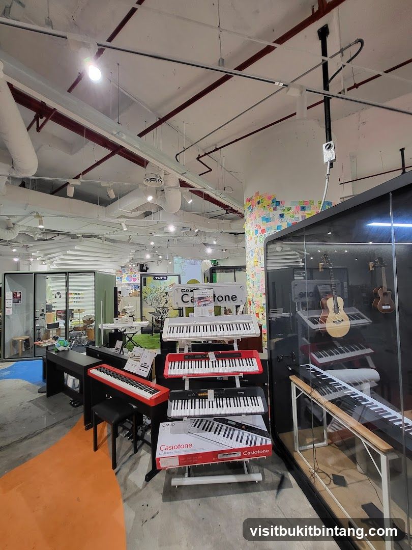 Musical Instrument Store Display