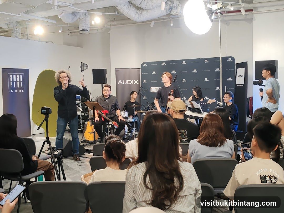 Live Music Performance