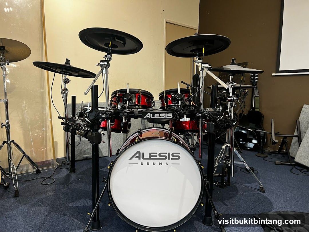 Alesis Electronic Drum Kit
