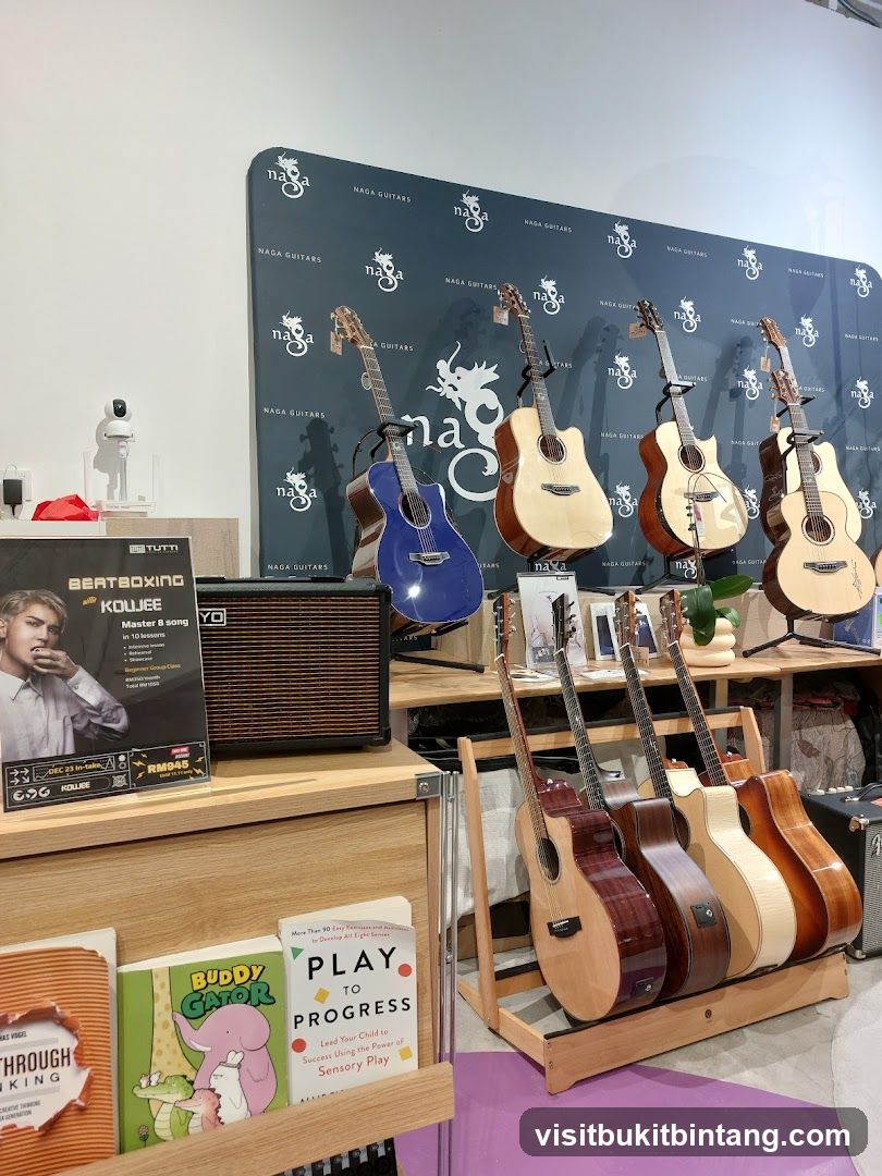 Guitars and Music Accessories