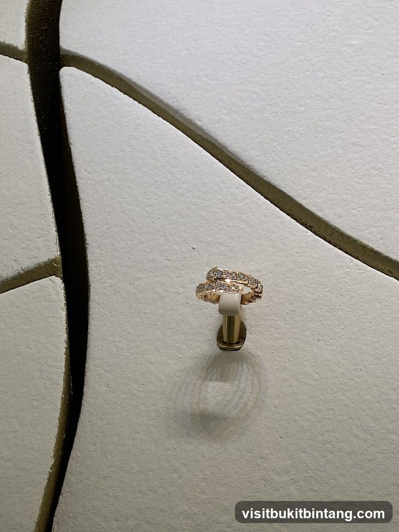 Diamond ring on display