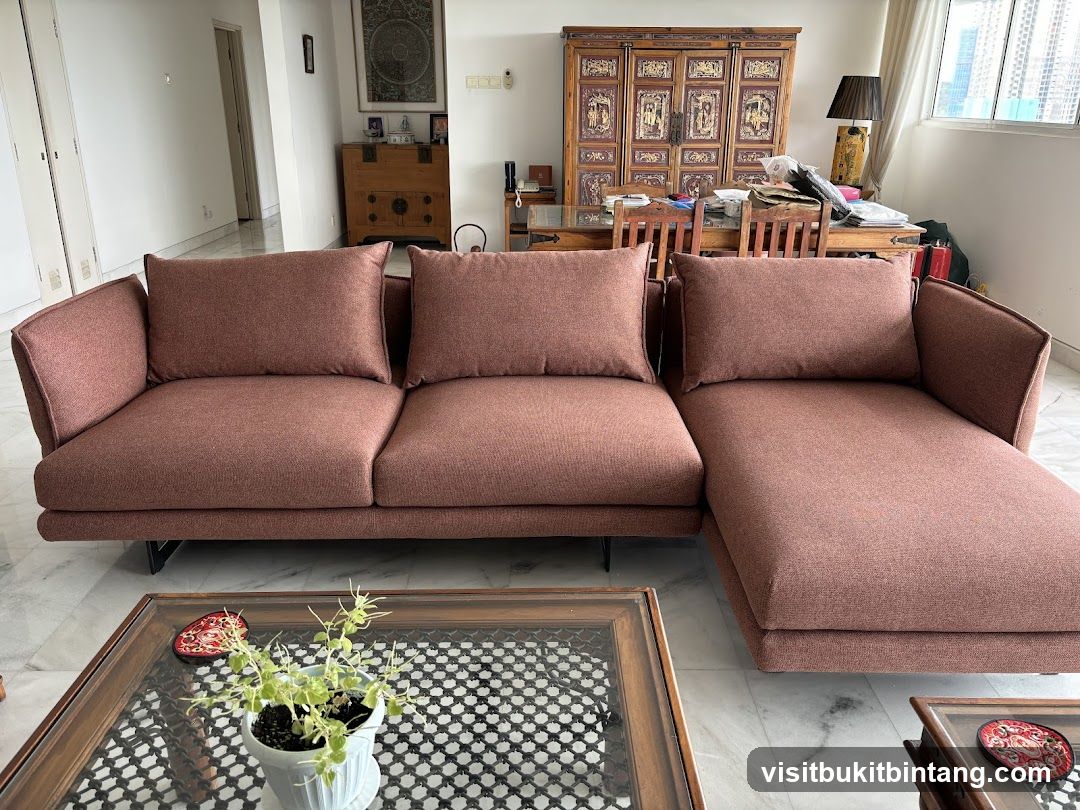 Living Room Sofa and Furniture