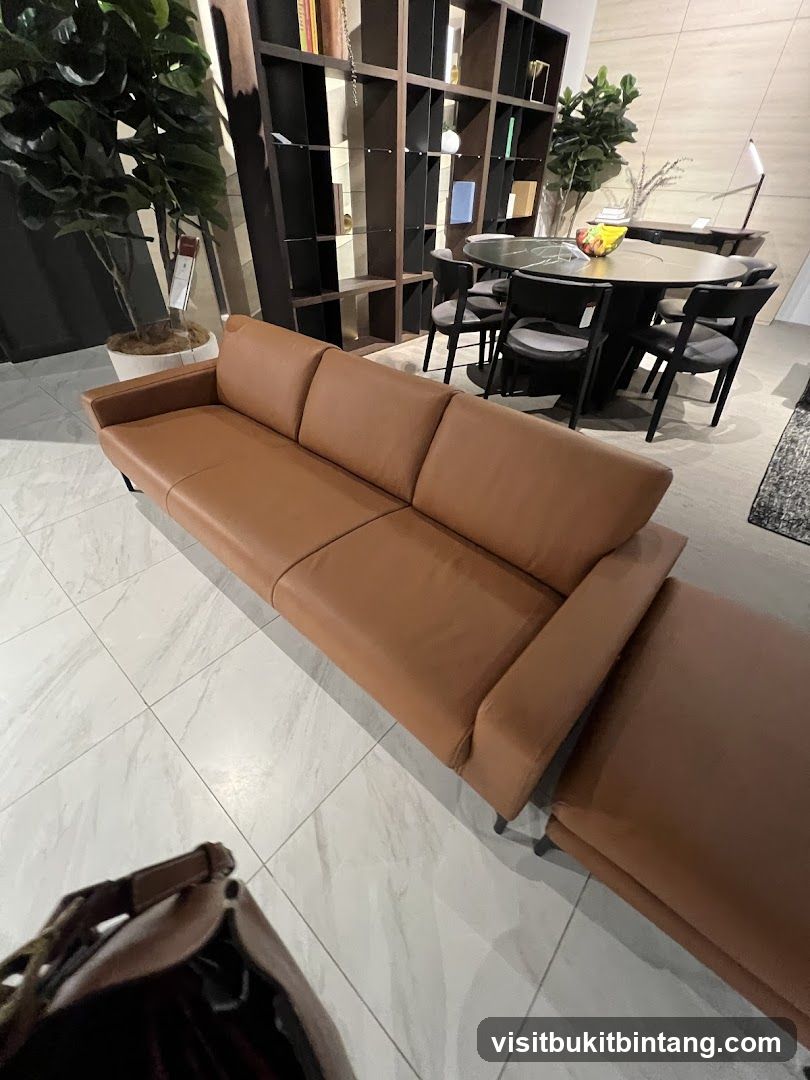 Modern Living Room Display