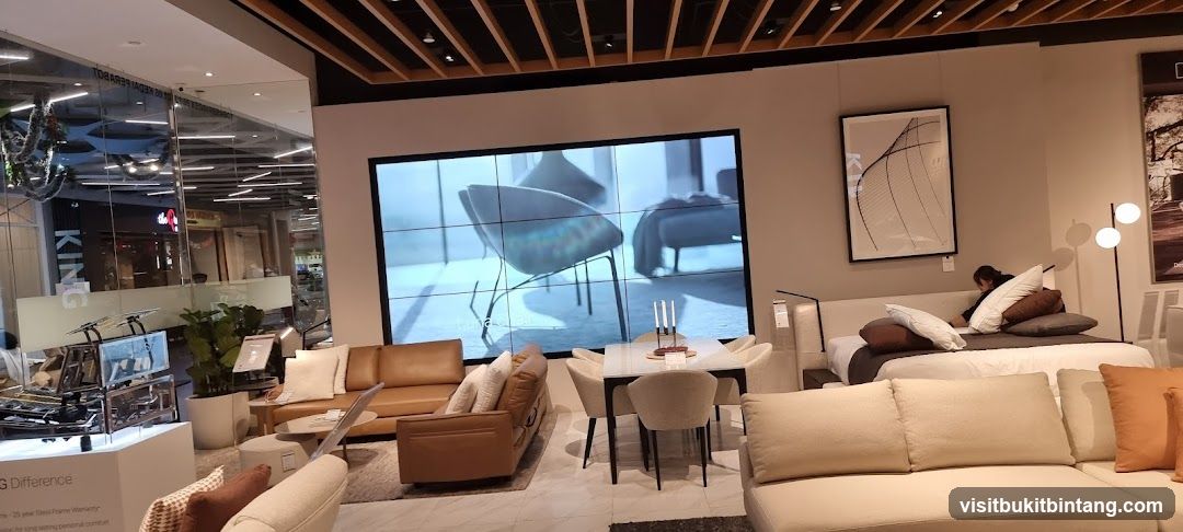 Modern Furniture Showroom
