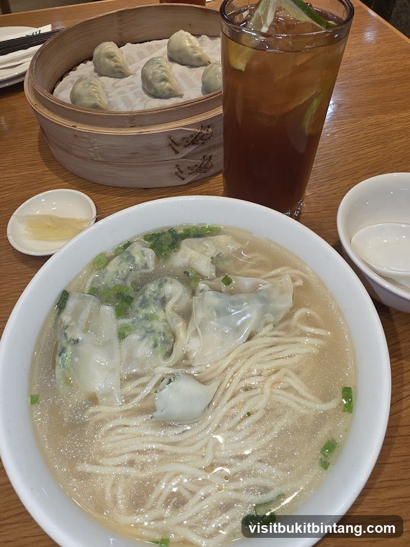 Wonton Noodle Soup and Dumplings