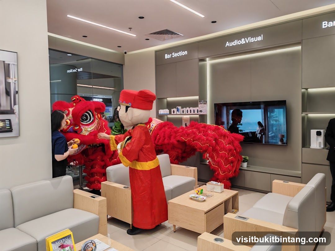 Lion Dance Performance