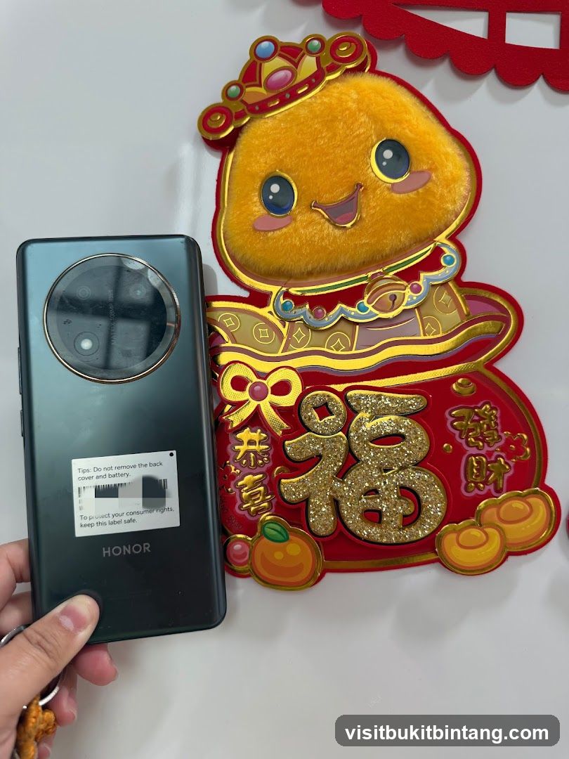 Smartphone and Chinese New Year Decoration
