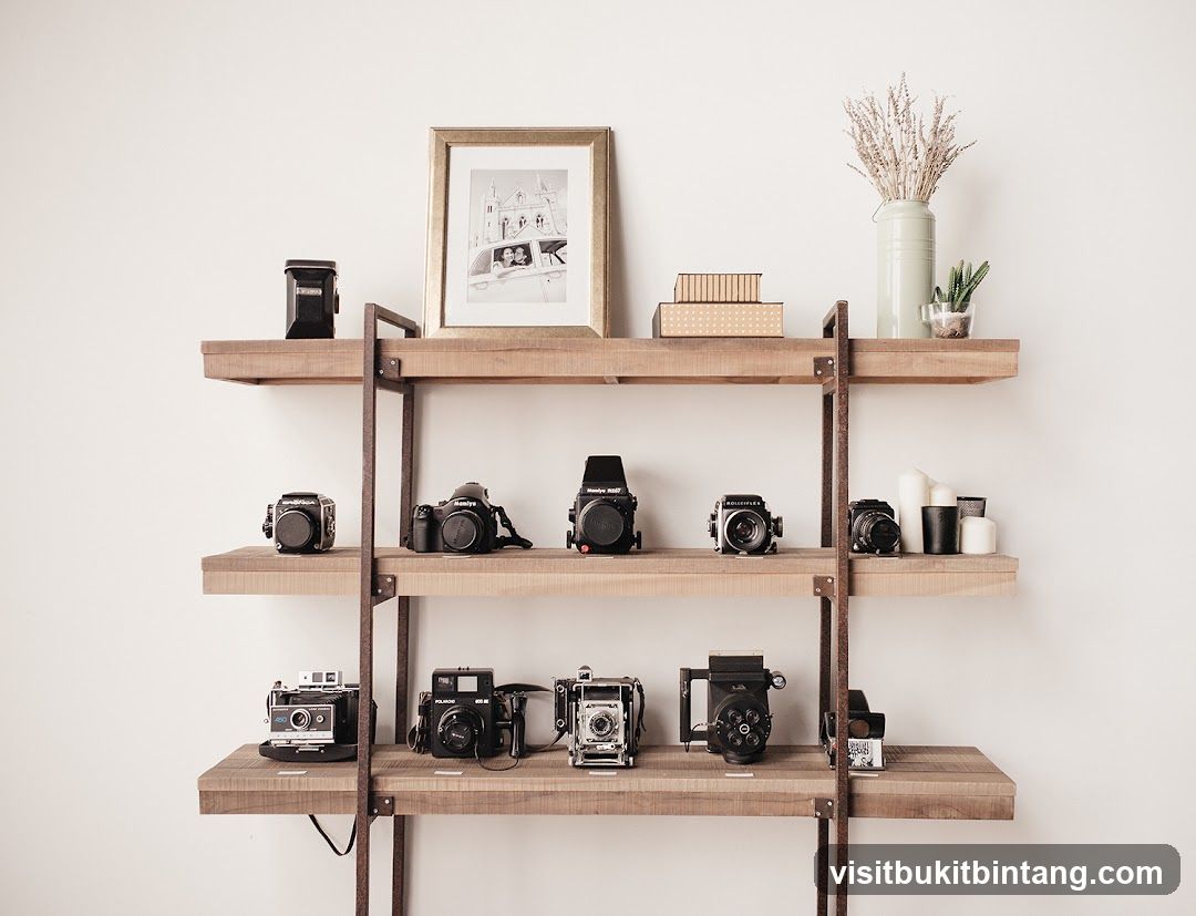 Vintage Cameras on Shelves