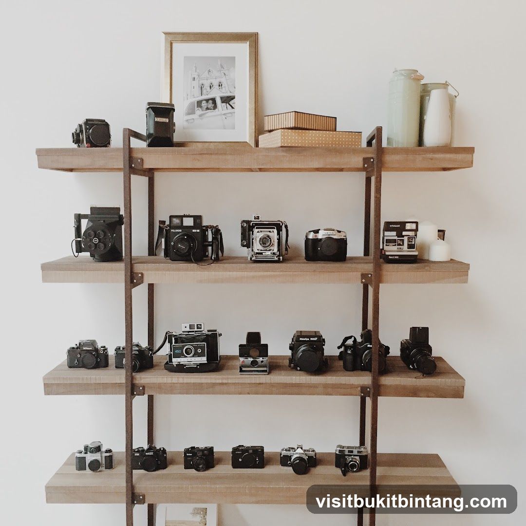 Collection of Cameras on Shelves