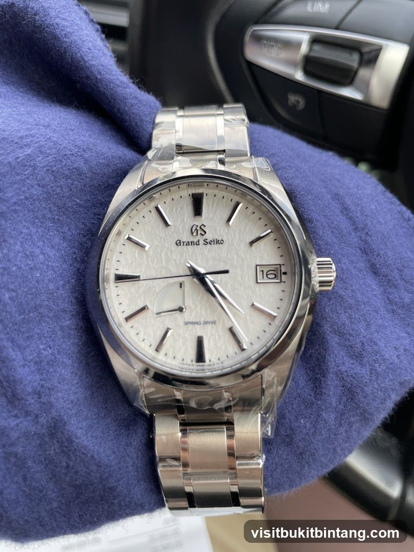 Grand Seiko Spring Drive Watch