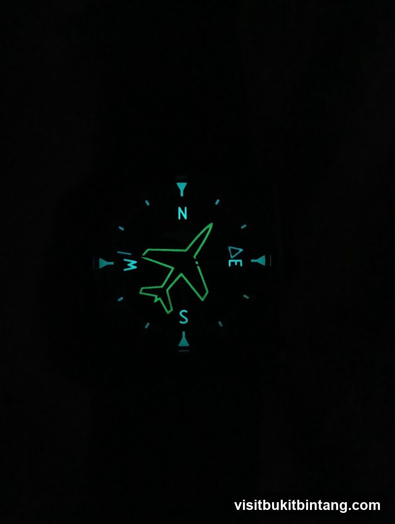 Airplane Compass