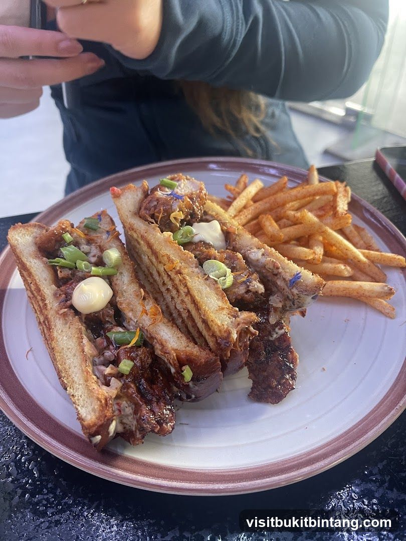 Sandwich and Fries
