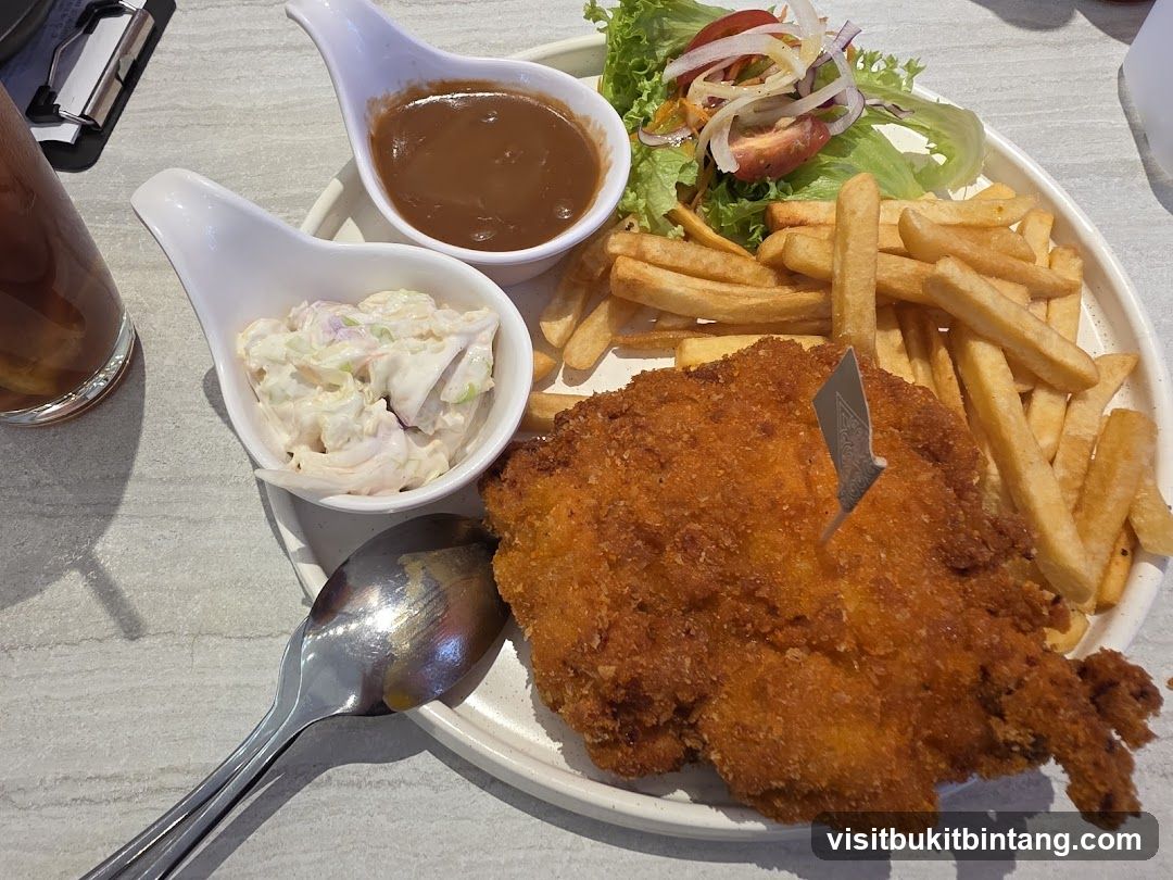 Fried Chicken with Fries and Salad