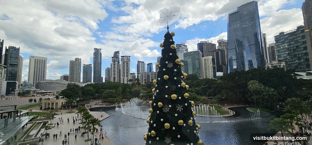 Christmas Tree in City Park