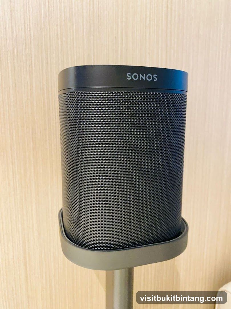 Sonos Speaker