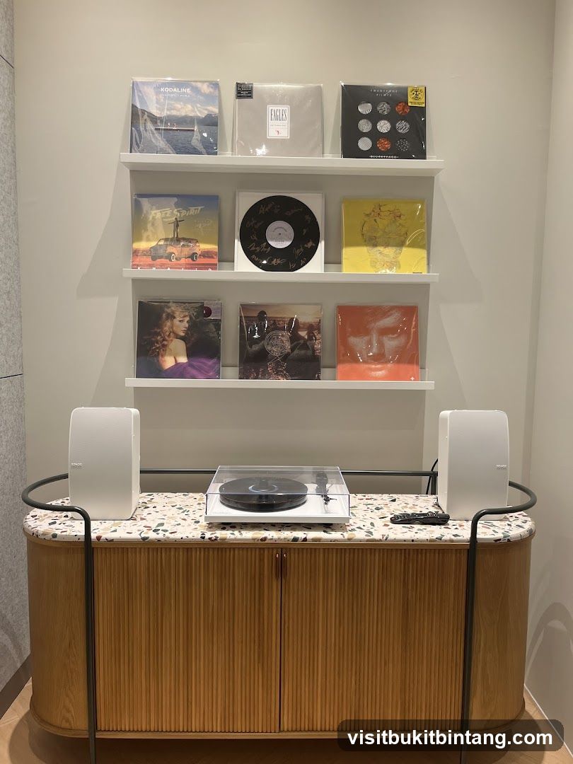Record Display and Turntable Setup