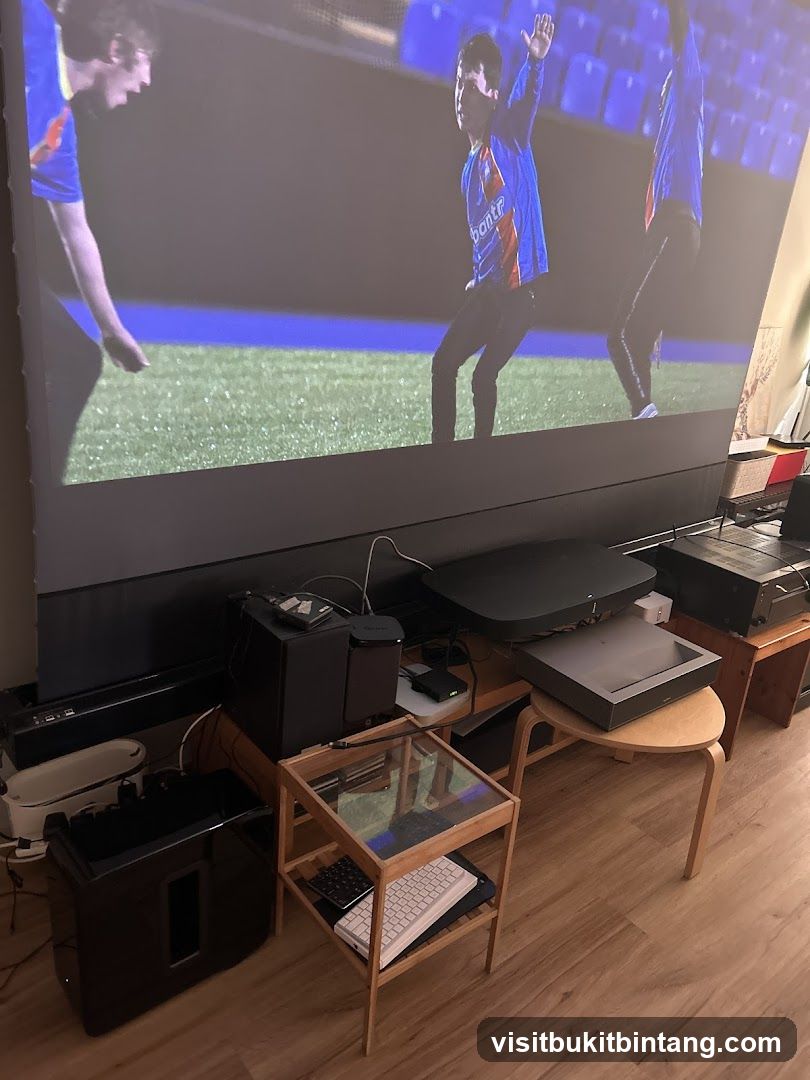 Home Entertainment Setup