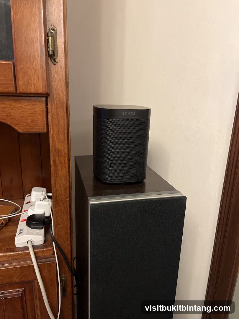 Sonos Speaker on Top of a Speaker