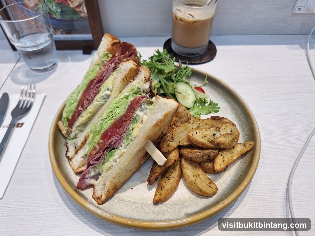 Sandwich with Fries and Salad