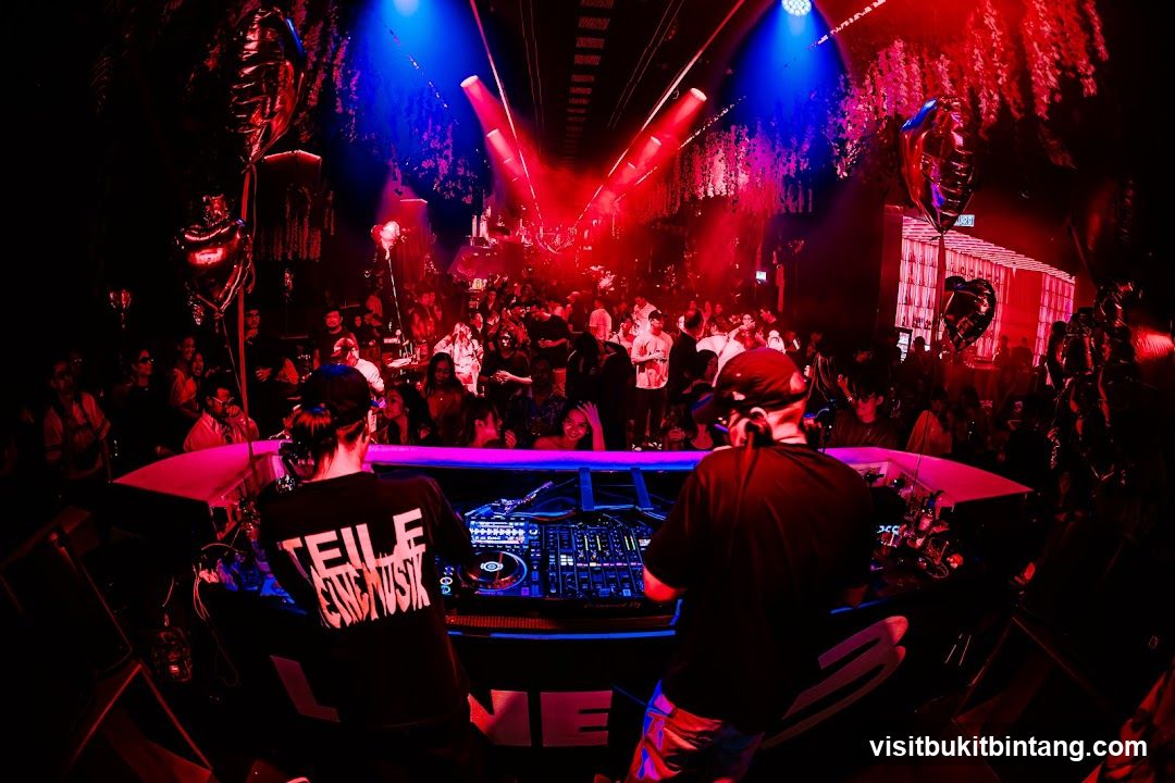 Nightclub DJ Set
