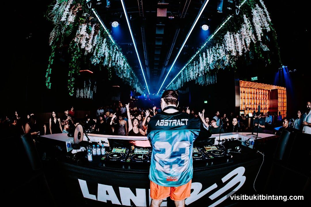 DJ performing for a crowd