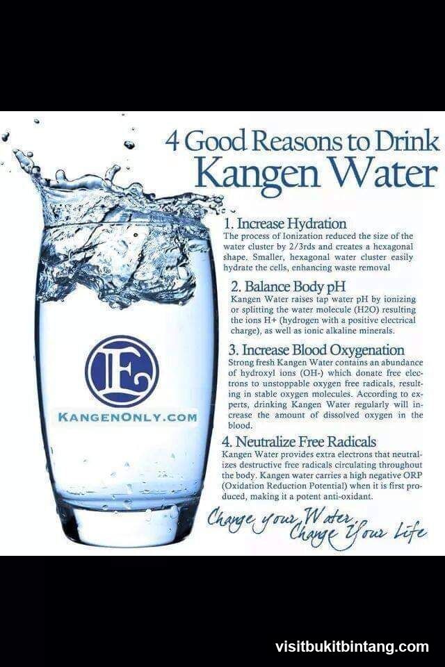 Kangen Water-Kangen Global Wellness