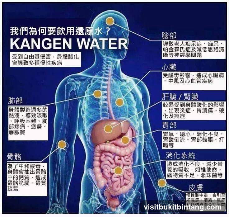 Kangen Water-Kangen Global Wellness