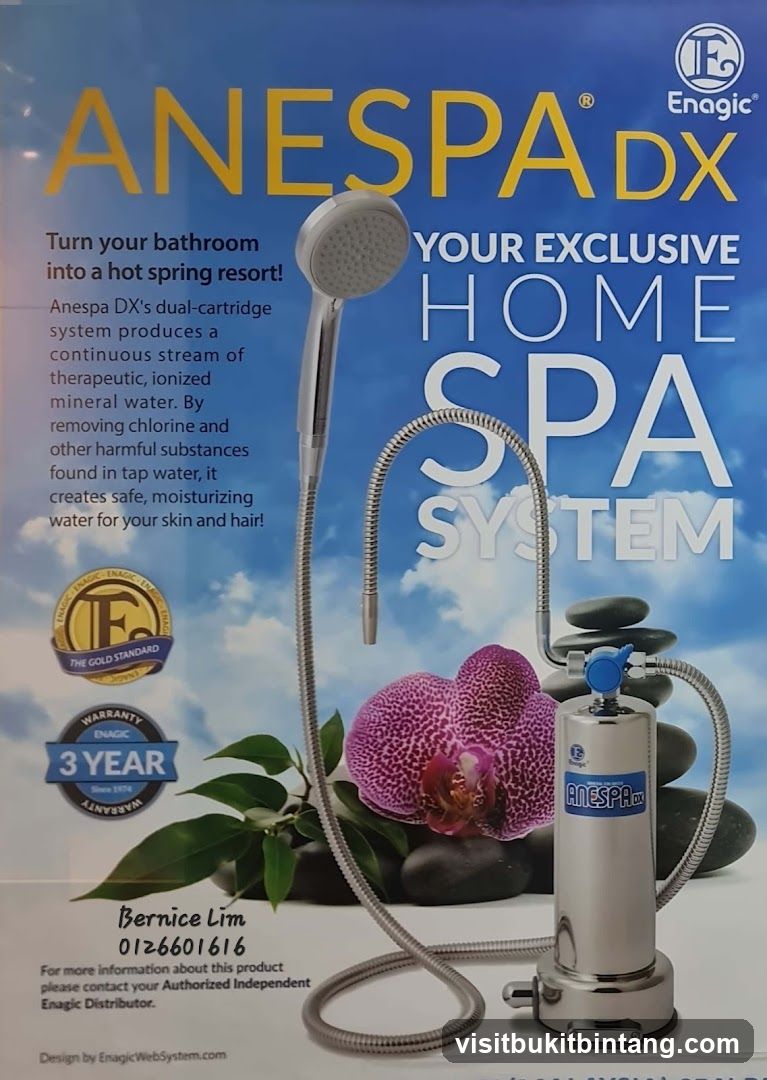 Anespa DX Home Spa System Advertisement