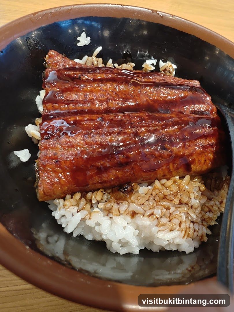 Unagi Donburi