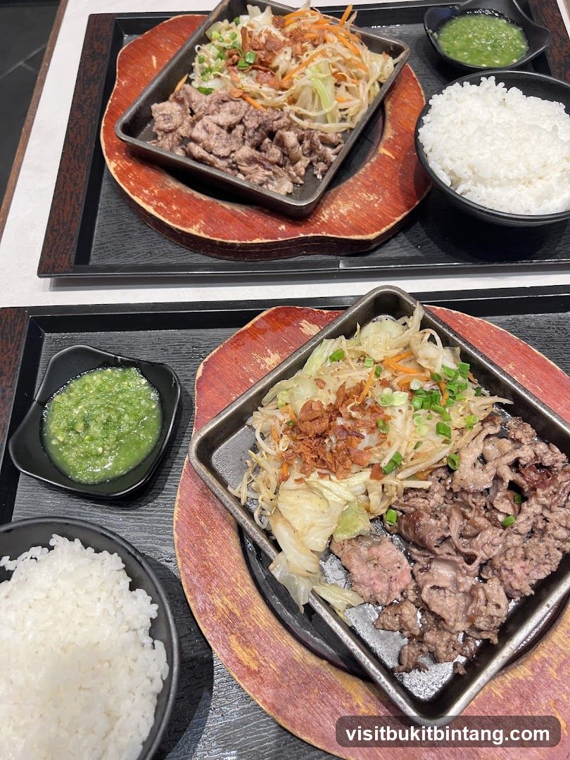 Two Sizzling Plates of Beef and Vegetables with Rice