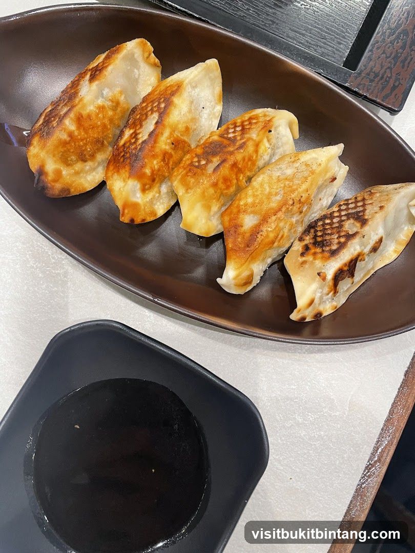 Pan-Fried Dumplings