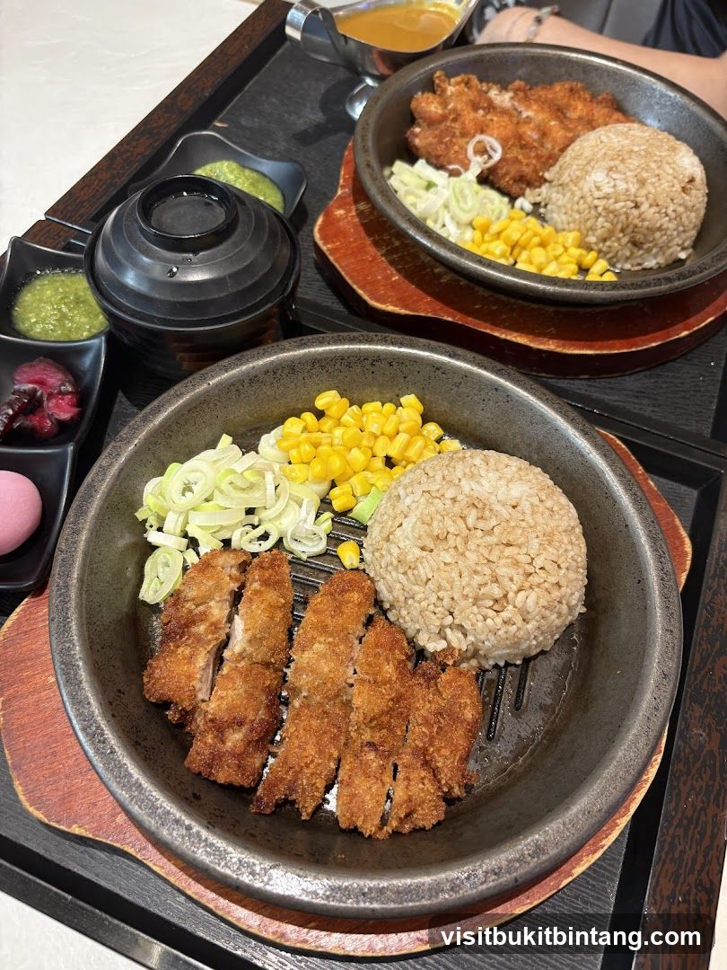 Japanese Fried Pork Cutlet Meals