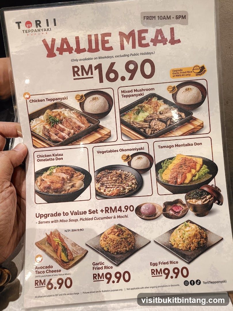 Torii Teppanyaki Value Meal