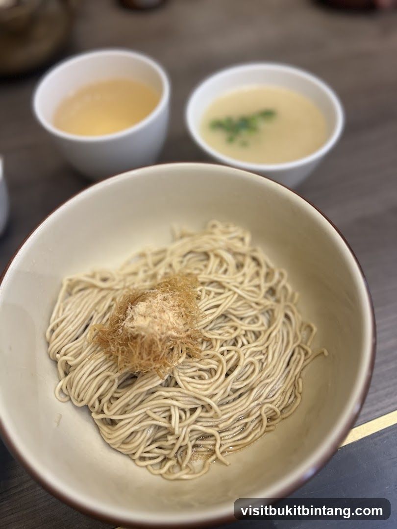 Noodles with Topping and Broth