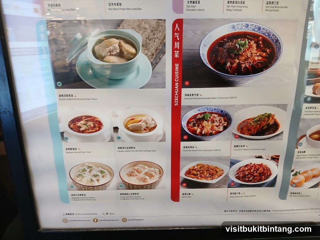 Szechuan Cuisine Menu