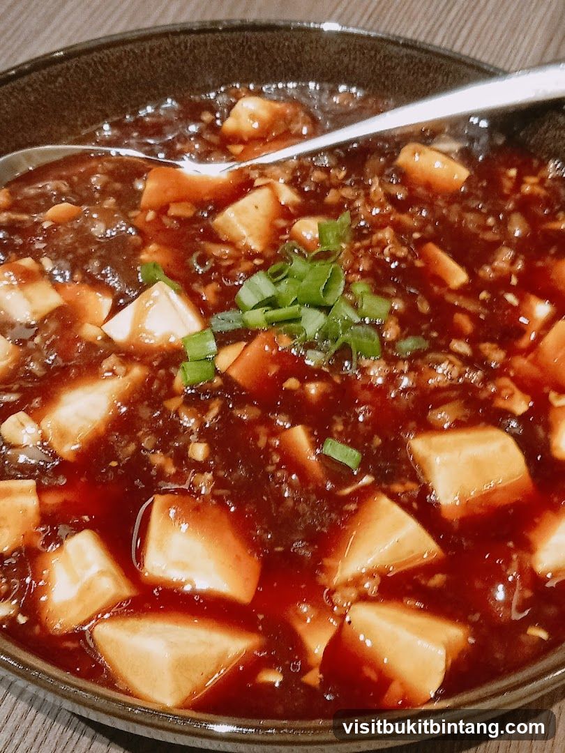 Mapo Tofu